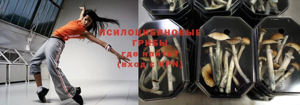 крисы Магадан