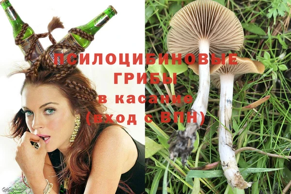 прущие крисы Магас