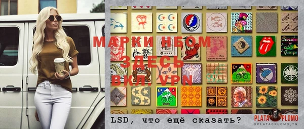 гидра Майский