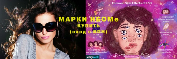 гидра Майский