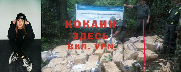 гидра Майский