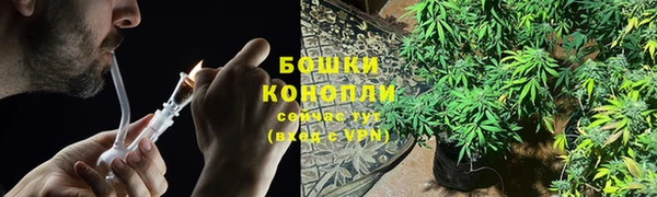прущие крисы Магас