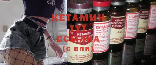 крисы Магадан
