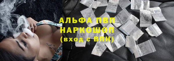 гидра Майский