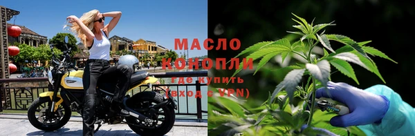 крисы Магадан